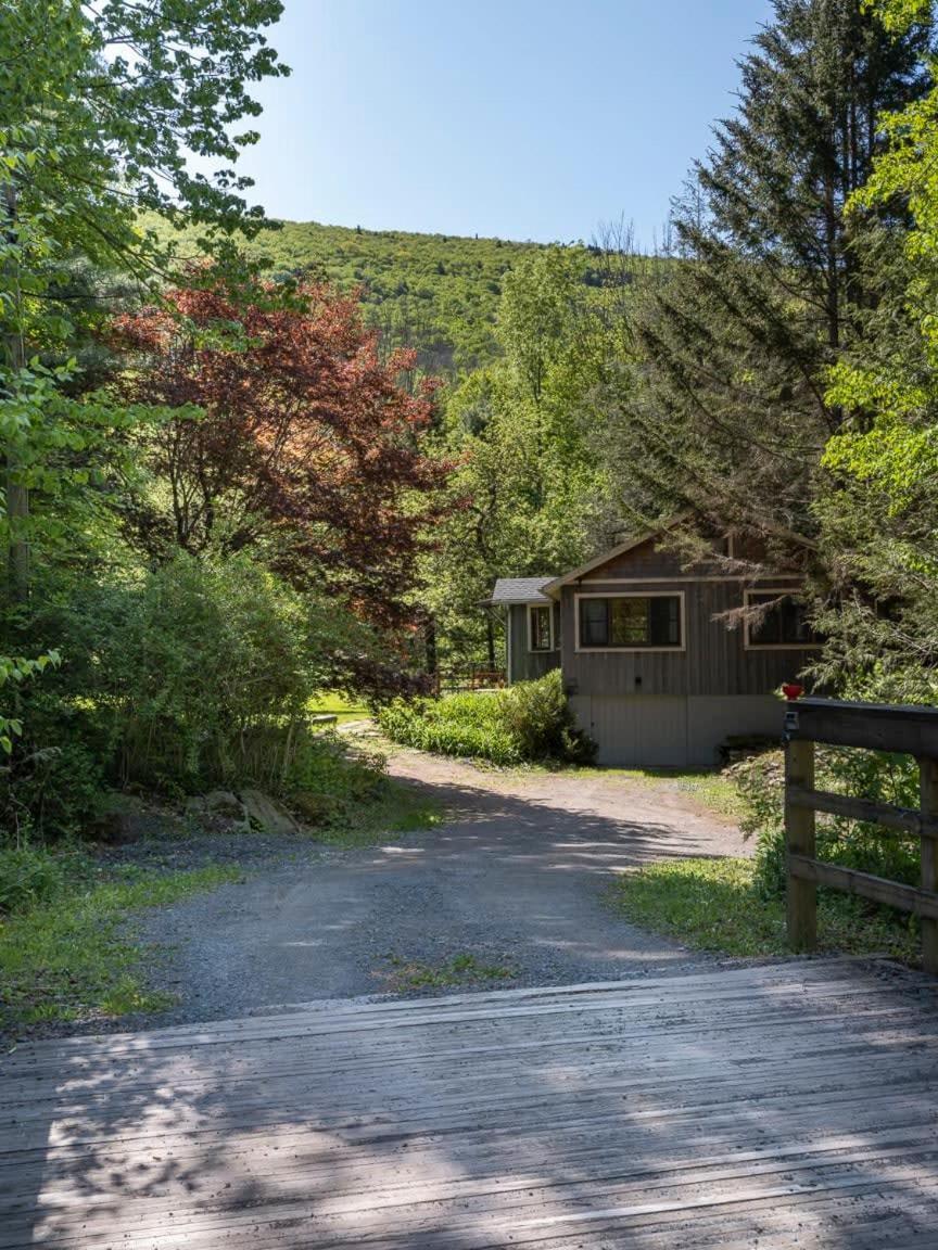 Stony Clove By Summer - Artisan Cottage With Hot Tub Lanesville Extérieur photo